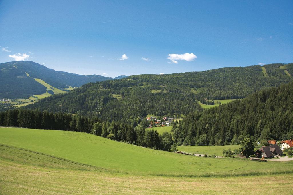 Ferienhaus Maxi Sankt Blasen Bagian luar foto